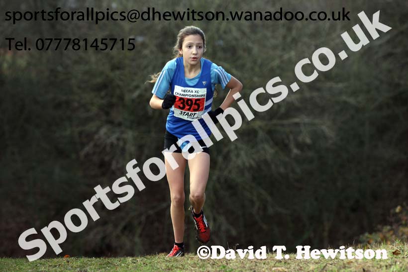 Girls under-15s North Eastern Cross Country, Aykley Heads, Durham. Photo: David T. Hewitson/Sports for All Pics